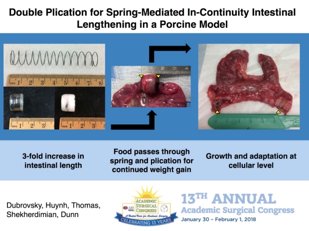 Double Plication for Spring-Mediated In-Continuity Intestinal Lengthening in a Porcine Model